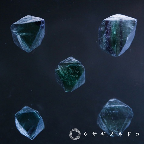 五顆綠色和藍紫色漸層的八面體螢石晶體，表面光滑，部分晶體帶有內含物，背景為深色。