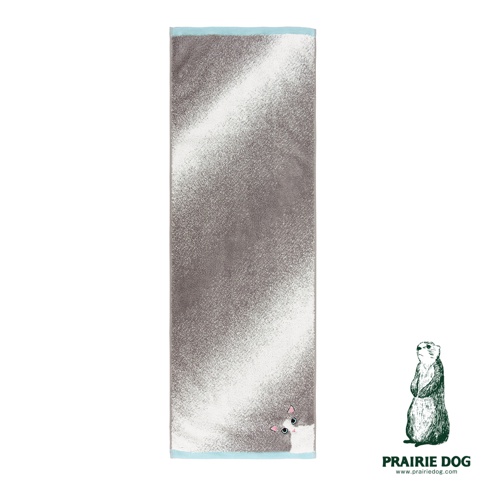 Prairie Dog Uchinoko Mate 今治細柔毛巾，以灰色為主調並帶有白色斜向紋理，毛巾右下角有一隻白色貓咪僅露出半張臉與耳朵的可愛刺繡，邊緣以淺藍色條紋修飾，整體呈現柔軟細緻的質感。