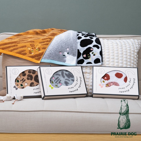 三條印有貓咪圖案的長條毛巾平鋪在淺色沙發上，毛巾下方擺放著對應的三個長方形包裝盒，盒子正面有挖空設計露出內部的貓咪毛巾。毛巾與盒身的圖案風格各異，包含棕色虎斑、灰色條紋以及黑白斑點等設計，整體呈現精緻舒適的日系居家風格。