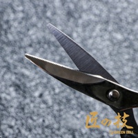 特寫不鏽鋼指甲剪，剪刀刃部有細緻的鋸齒紋路，剪刀柄為銀色金屬材質，背景為灰色紋理。