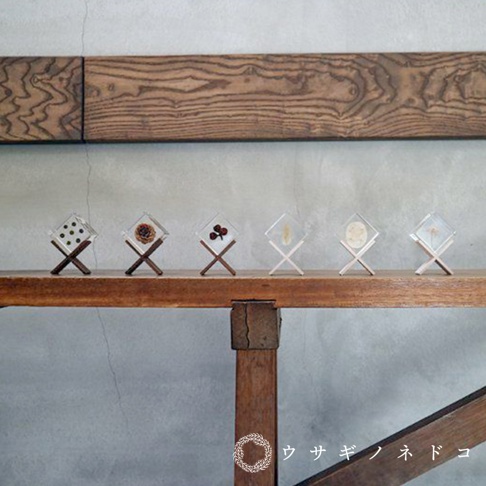 六個透明立方體置物架，每個架子由兩根木頭交叉支撐，內部封存著不同的乾燥植物或物品，如骰子、松果、漿果、種子等，擺放在木質層架上。