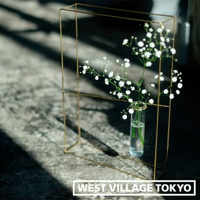 黃銅書本造型掛擺兩用花器，簡約的幾何線條框架，內置玻璃試管，插有白色滿天星，置於淺色紋理背景上，光影交錯。