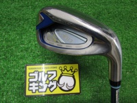 XXIO 2022 Blue 長鐵/混血桿/小雞腿 (桿身 MP1200L)