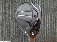 TSR2 HYBRID 長鐵/混血桿/小雞腿 (桿身 NSPRO MODUS3 GOST HY 370)
