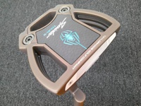 SPIDER TOUR X TORCHED CN TruePath 推桿 (桿身 KBS CT 120[33])