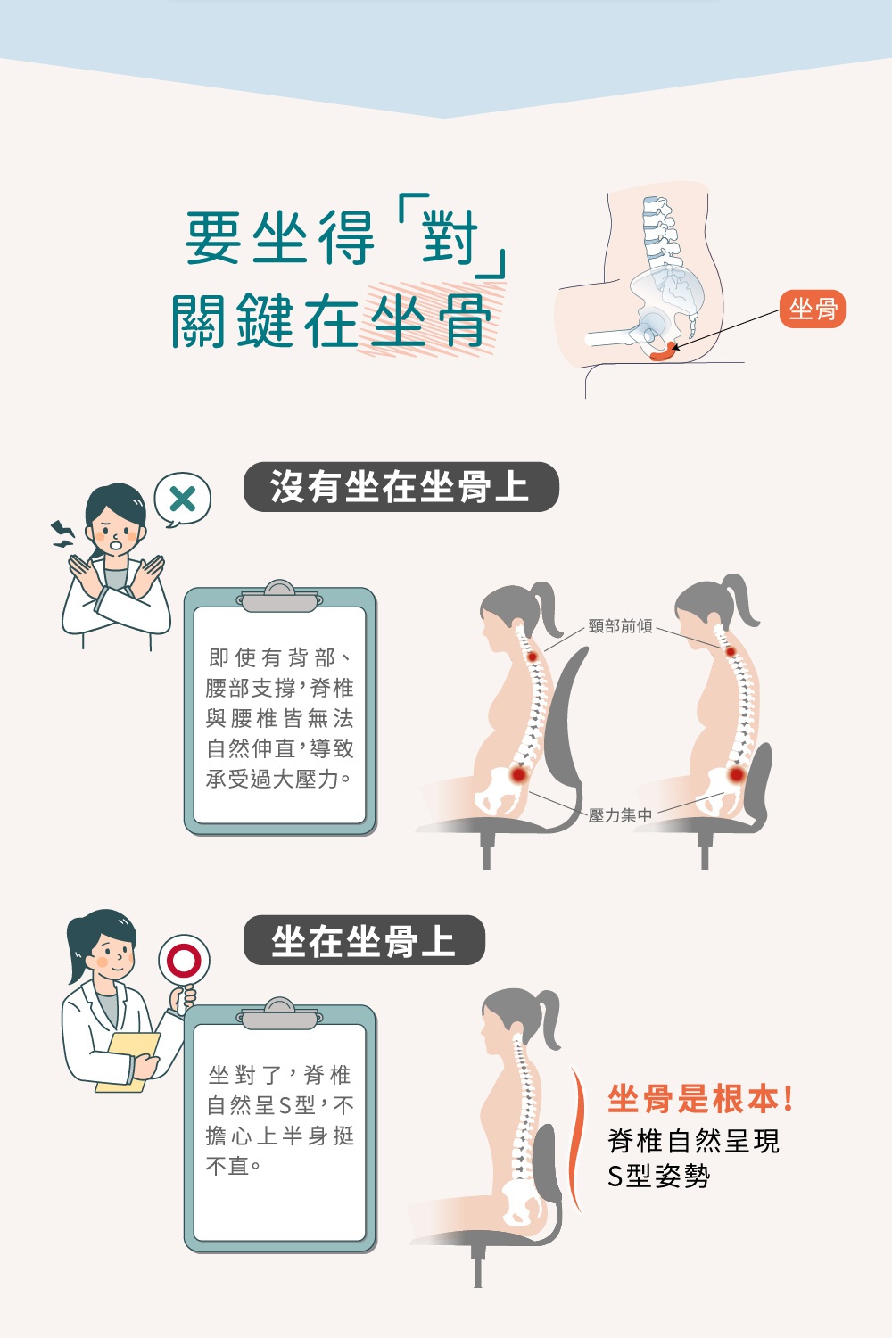 圖片文字：要坐得對 關鍵在坐骨 沒有坐在坐骨上 即使有背部、腰部支撐,脊椎與腰椎皆無法自然伸直,導致承受過壓力。 坐在坐骨上 坐對了,脊椎自然呈S型,不擔心上半身挺不直。 坐骨是根本! 脊椎自然呈現S型姿勢