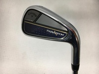 PARADYM 鐵桿組 (桿身 NSプロ 950GH neo)