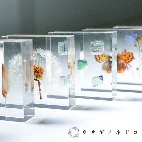 透明樹脂塊中封存著蒲公英、種子、螢石晶體及蝴蝶標本，呈現多樣的自然元素。