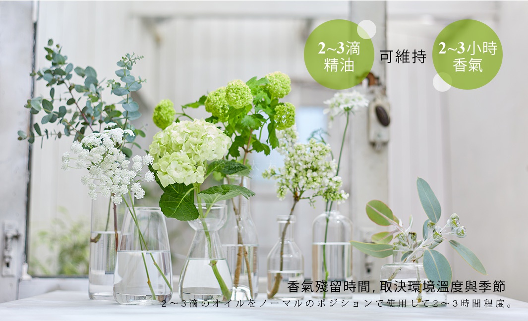 玻璃瓶中插著綠葉植物和白色小花，其中一瓶有淺綠色繡球花，背景為淺色調。