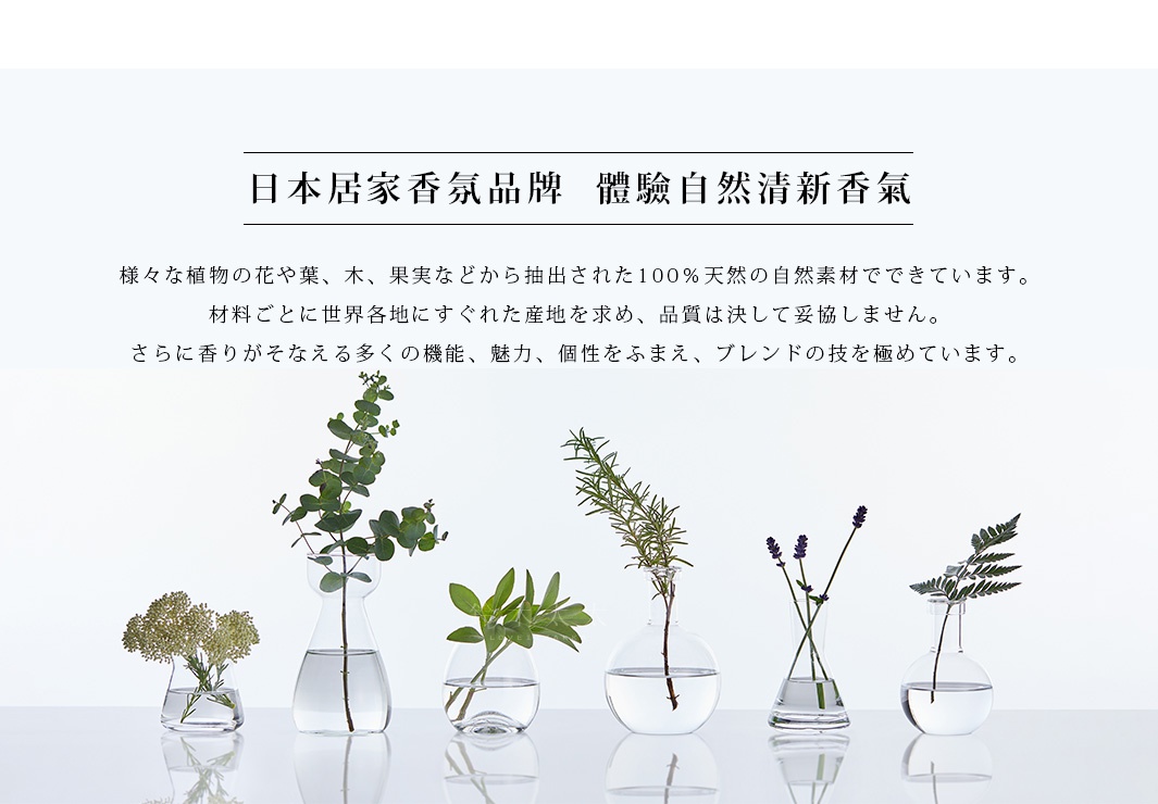 五種不同的植物，包括尤加利葉、迷迭香、薰衣草和蕨類植物，分別插在透明玻璃瓶中，展示於白色背景上。