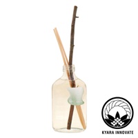 KYARA INNOVATE 室內擴香竹，瓶內裝有淡黃色液體、兩根細長擴香竹與一根粗糙的樹枝，瓶身貼有標示 Refresh 的綠色蘋果形狀貼紙，右側為印有 KYARA INNOVATE 字樣的品牌標誌。