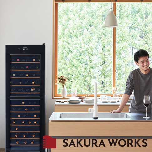 LX95 雙溫酒櫃，黑色玻璃門，內有木製層架，可擺放多瓶酒。酒櫃旁有一名男子，廚房水槽與檯面。