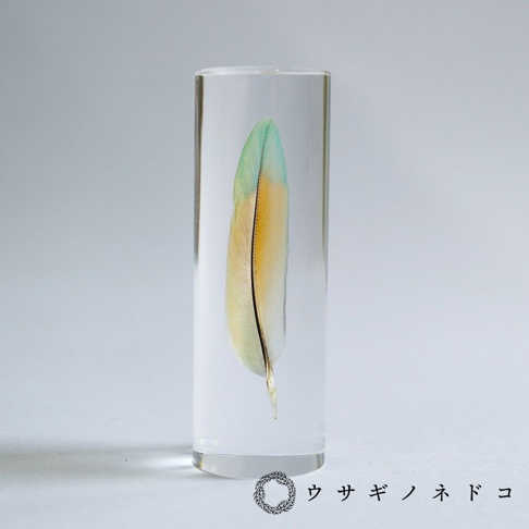 透明樹脂封存的桃面牡丹鸚鵡羽毛標本，羽毛呈現綠、黃、橘三色漸層，羽軸為深褐色。