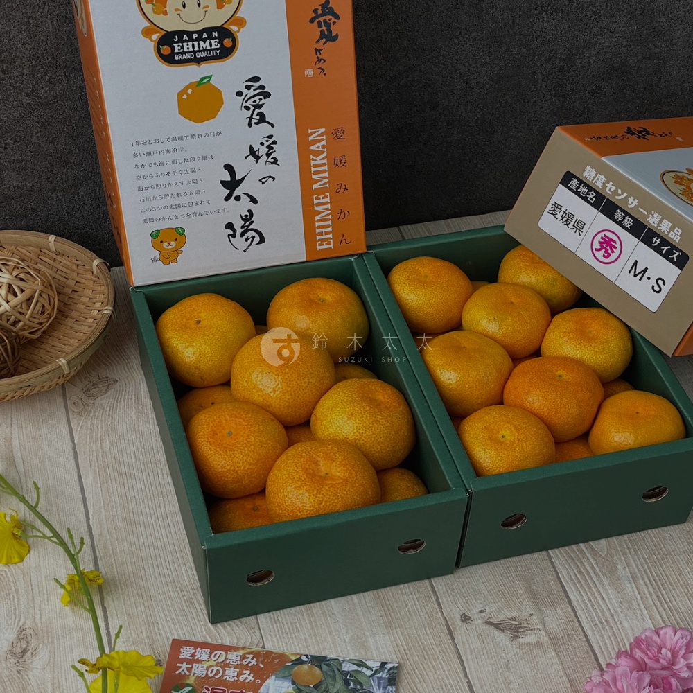 愛媛蜜柑禮盒-3+