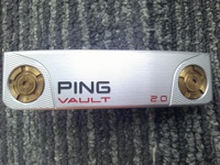 VAULT2.0 DALE ANSER Platinum 推桿 (桿身 特製鋼)