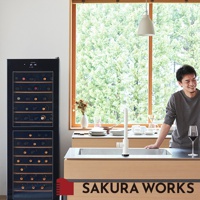 LX95 雙溫酒櫃，黑色玻璃門，內有木製層架，可擺放多瓶酒。酒櫃旁有一名男子，廚房水槽與檯面。