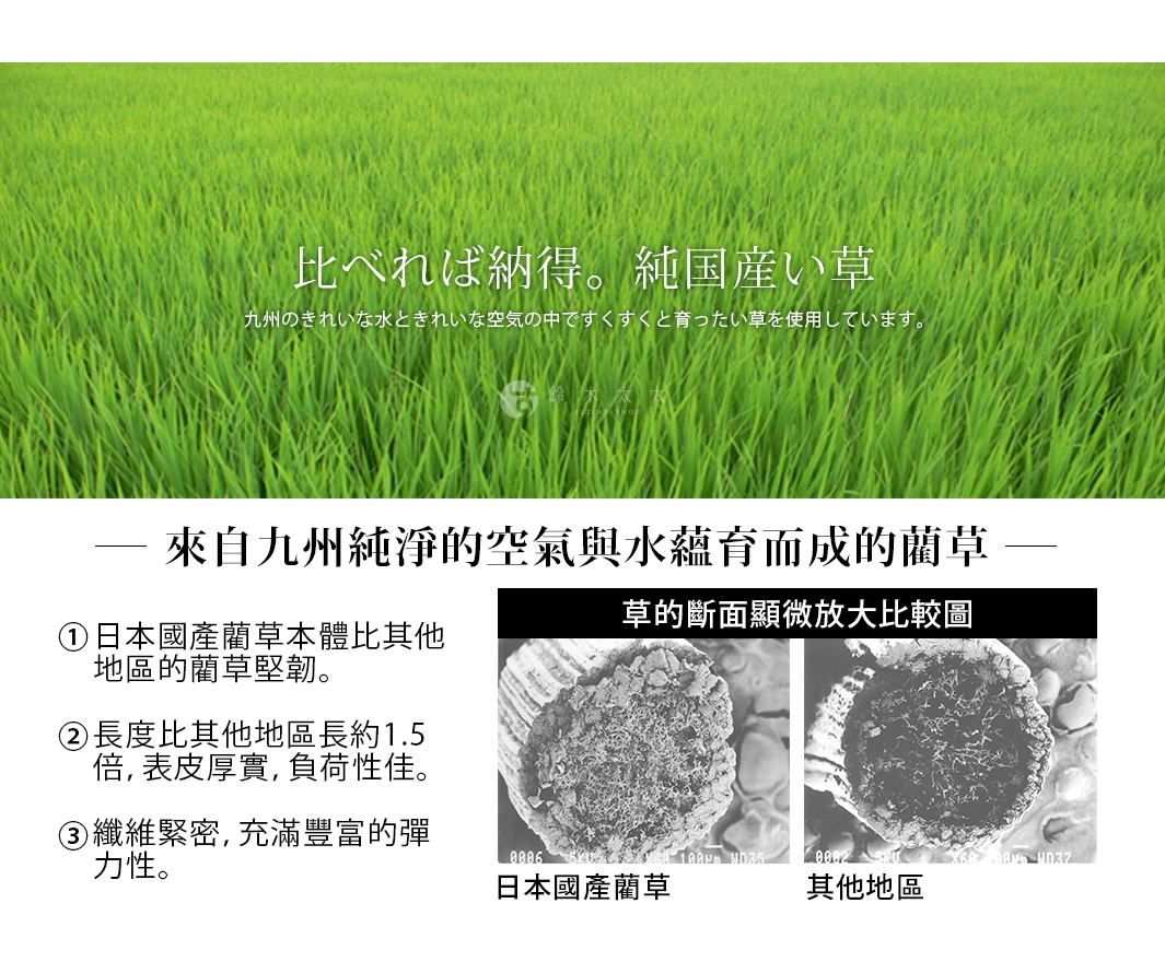 日本藺草透氣室內拖鞋 M，展示了日本國產藺草的纖維結構，與其他地區的藺草進行微距對比，突顯其密度、長度及表皮厚度。