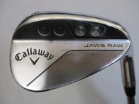 JAWS RAW CHROME 48-10S 挖起桿 (桿身 DG(JP))