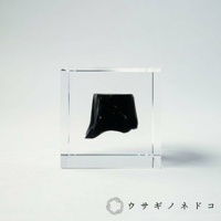 透明立方體內嵌著一塊不規則形狀的黑色黑曜石，表面帶有光澤，置於白色背景上。