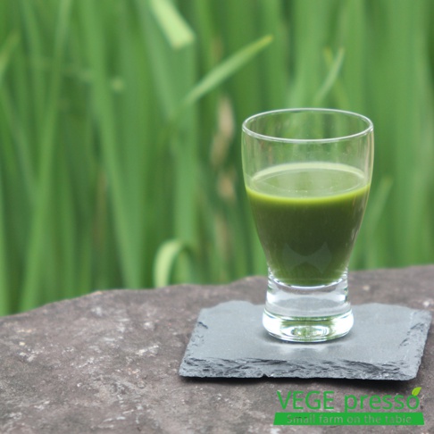 綠色飲品盛裝在玻璃杯中，置於石板上，背景為模糊的綠色植物