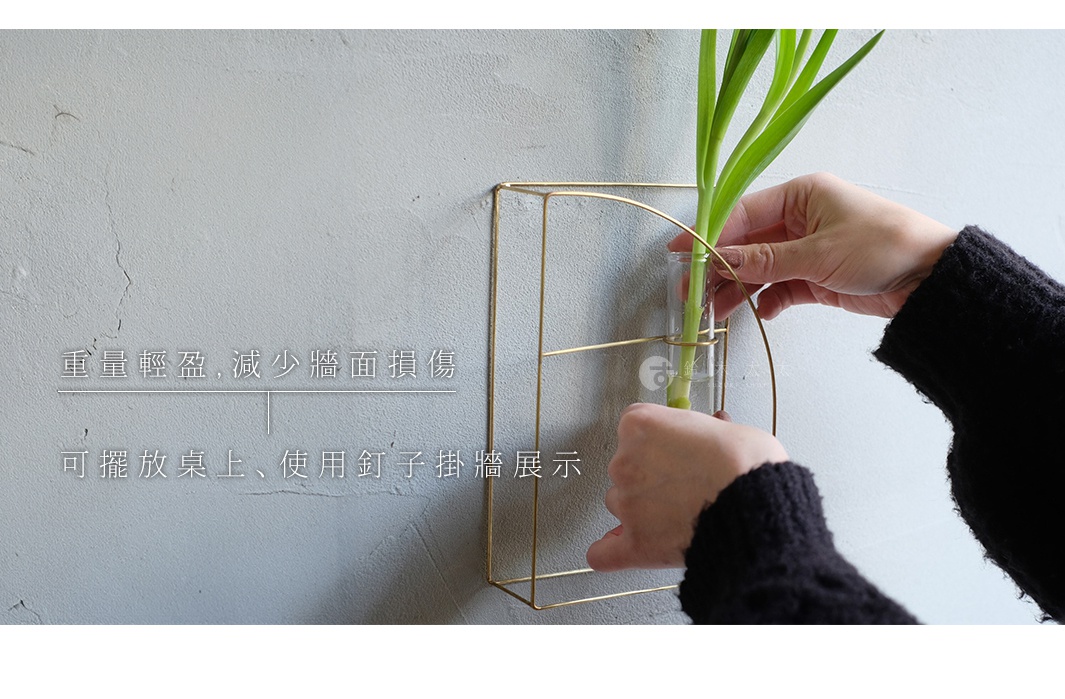 金屬書架造型掛擺兩用花器，採用黃銅色金屬線條構成，內置玻璃試管，一支綠葉植物置於其中，手部正將植物放入試管。