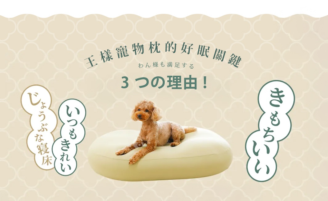 王樣寵物夢枕，一隻貴賓犬躺在黃色枕頭上，旁邊有日文文字說明。