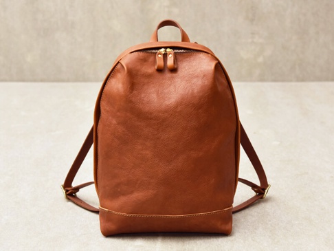 棕色皮革後背包，簡約設計，頂部有雙拉鍊開口，兩側有皮革肩帶，底部有縫線細節。