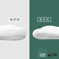 白色王樣の極柔枕，附有天絲 TENCEL 枕套，枕套表面有細緻的織紋，產品分為左右兩區，左區為淺灰色背景，標示「極夢枕」，右區為深綠色背景，標示「極柔枕」並展示產品細節。