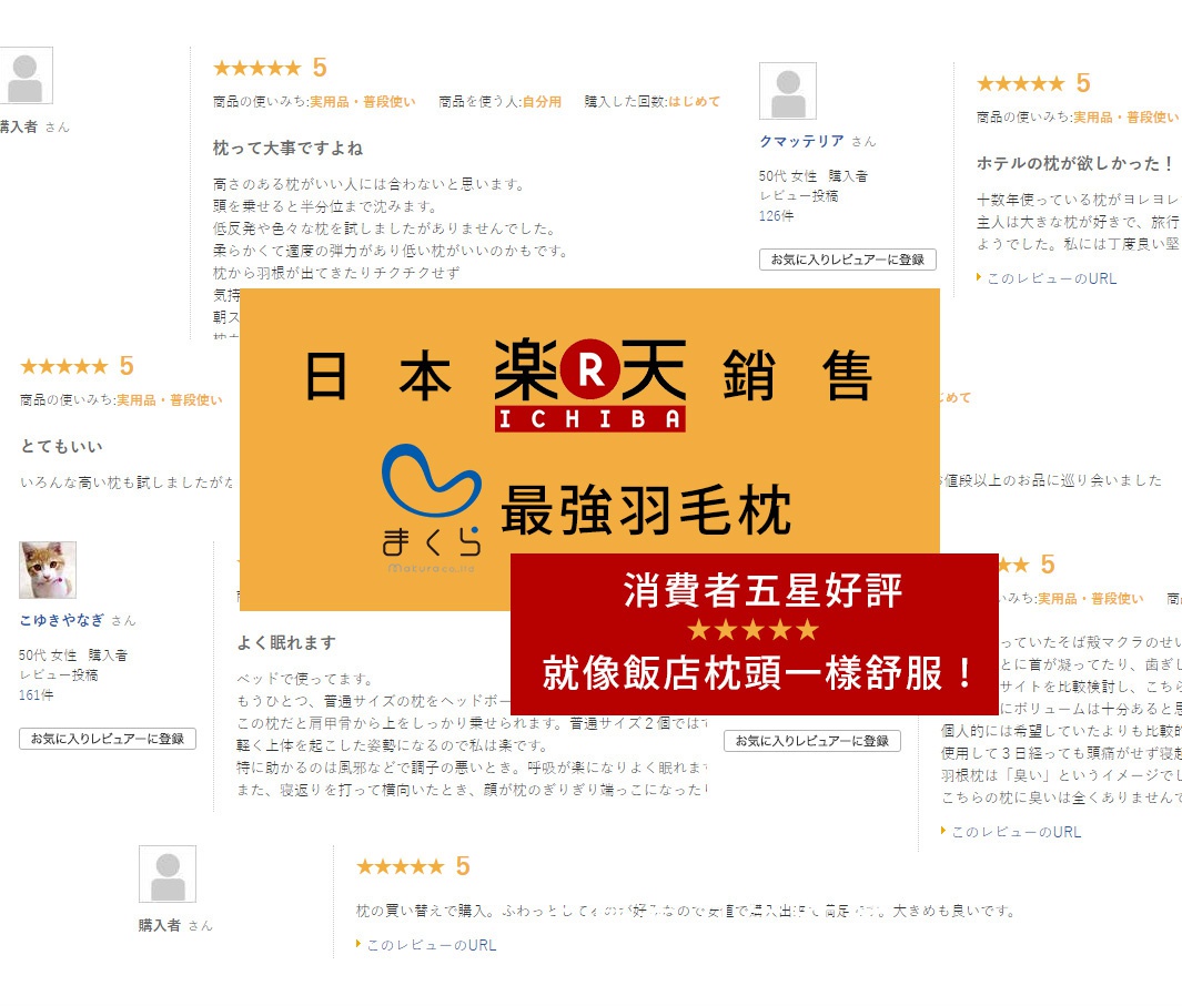 白色羽毛枕，中間印有「日本 樂天 銷售」以及「最強羽毛枕」字樣的橘色和紅色標誌。