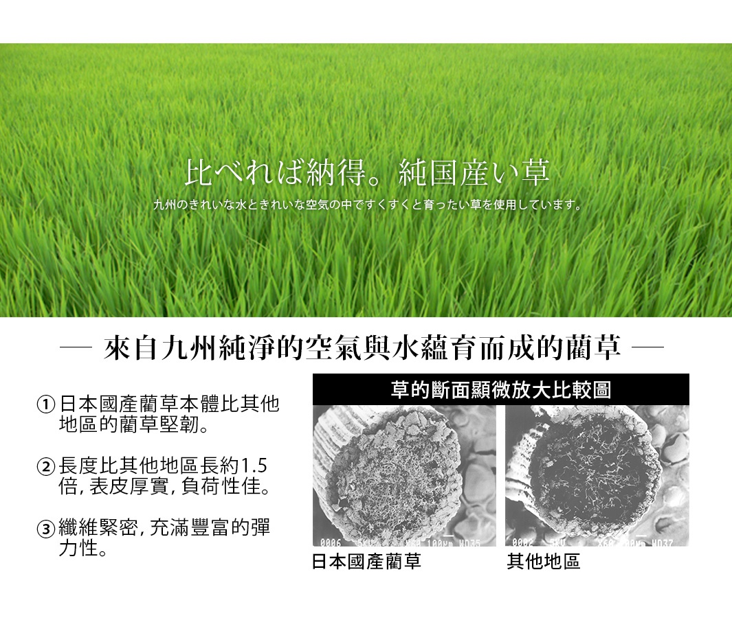 日本藺草美體平衡室內拖鞋，圖片展示了九州生產的藺草，並與其他地區的藺草進行了顯微鏡下的截面比較，突顯了日本藺草的粗細、厚度與纖維緊密度。