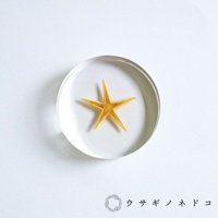 透明圓形壓克力塊中封存著一隻黃色海星標本，海星有五個尖銳的腕足，整體呈扁平狀，置於白色背景上。