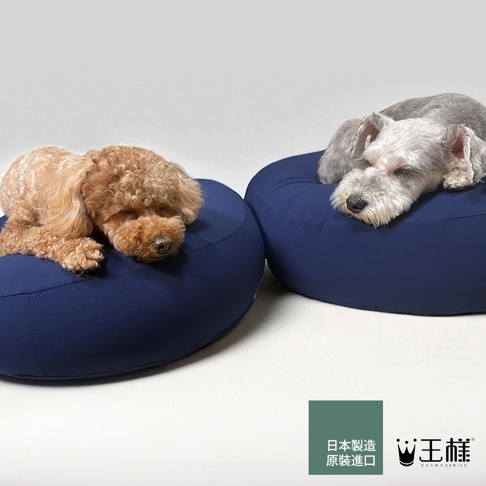 一隻棕色貴賓犬和一隻灰色雪納瑞分別趴在日本製造的藍色寵物圓形坐墊上休息