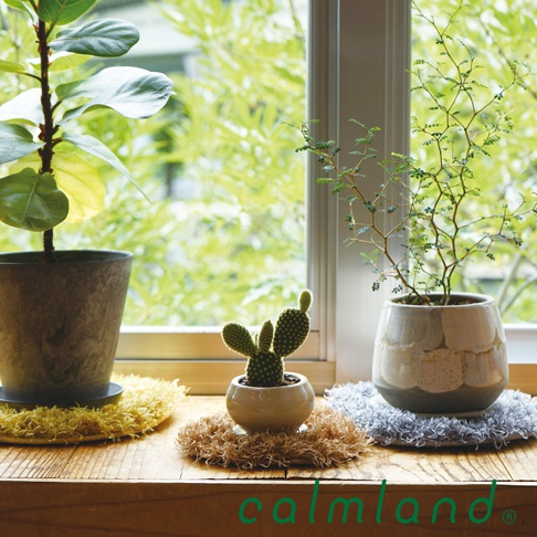 三個圓形織物盆栽墊，分別為黃色、棕色和灰色，墊在盆栽下方，營造出自然的裝飾效果。