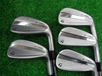 P790 2023 鐵桿組 (桿身 N.S.PRO 950GHneo(JP) 5S)