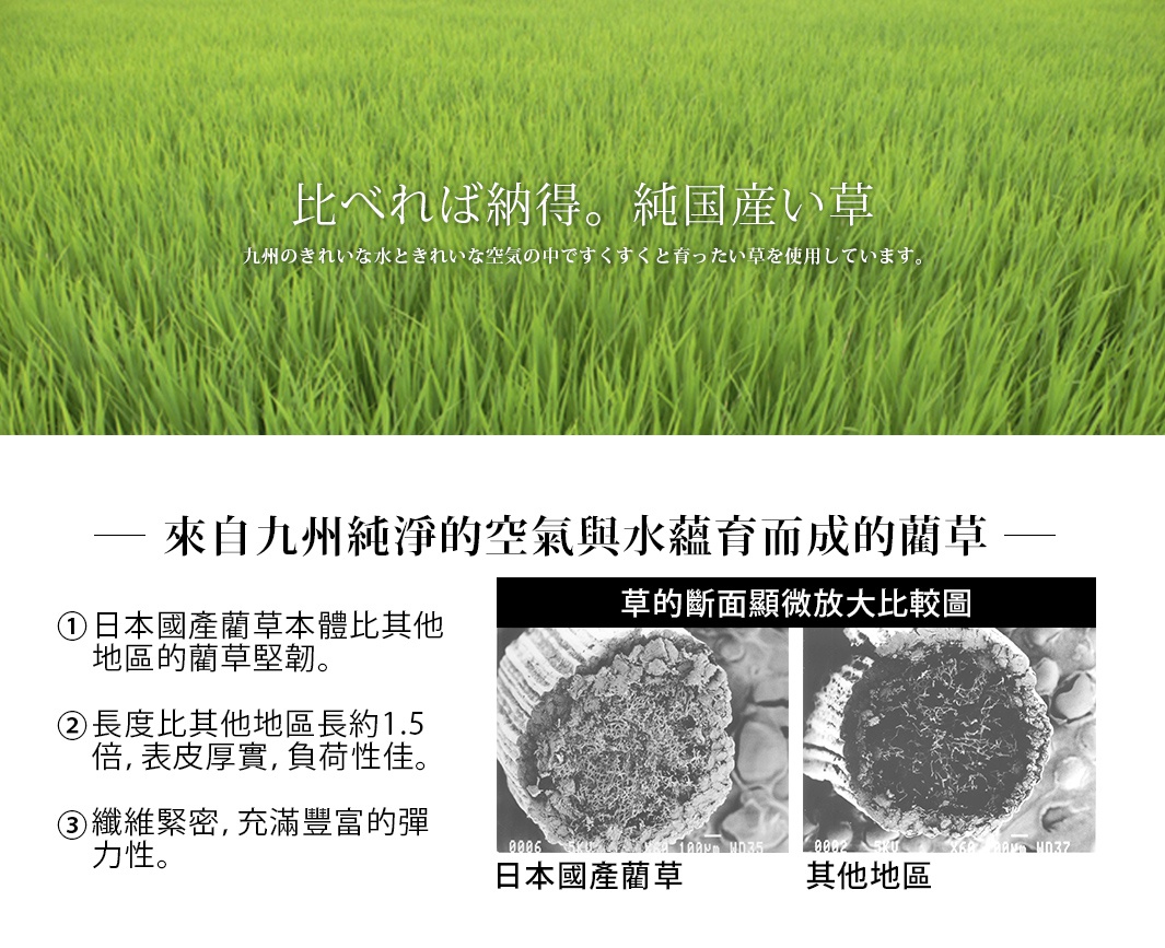 藺草榻榻米止滑瑜珈墊 (EARTH地球)，展示其藺草材質的微觀結構，與其他地區的藺草進行比較。