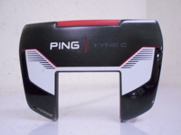 PING 2021 TYNE C 推桿 (桿身 特製鋼PP58)