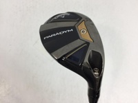 PARADYM 長鐵/混血桿/小雞腿 (桿身 NSプロ 850GH neo)