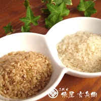 白色雙格碗裝著兩種米：左邊是淺棕色的糙米，右邊是白色的精米。背景有綠葉點綴，木質桌面。