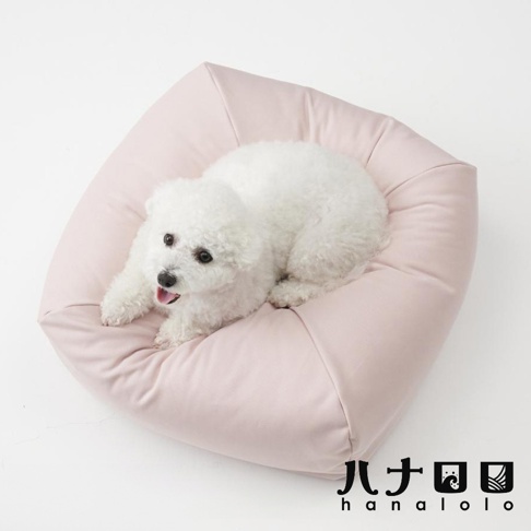 一隻白色的比熊犬正舒適地趴在粉紅色的正方形懶骨頭沙發上，這款由日本品牌hanalolo推出的寵物專用懶骨頭採用針織布料製成，呈現簡約溫馨的家居風格。