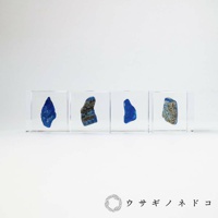 四個透明立方體展示著不規則形狀的青金石礦石，呈現深淺不一的藍色，部分伴有金色或褐色的斑紋。