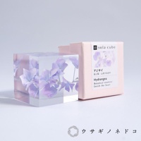 Sola cube 繡球花立方塊，透明壓克力材質中封存著淡紫色繡球花，旁邊是同品牌的粉色包裝盒，盒上印有品牌名稱及繡球花圖案。
