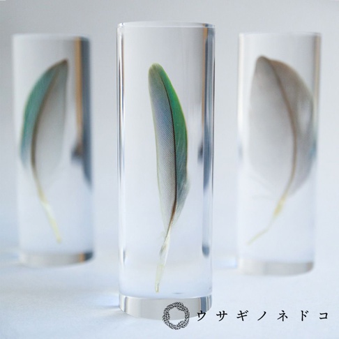 三個透明圓柱體內分別封存著鳥類羽毛標本，中間的標本為桃面牡丹鸚鵡的羽毛，呈現綠色、藍色及褐色。