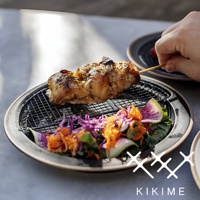 amime 美濃燒瀝油餐盤-附半月黑網