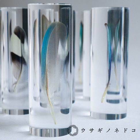 透明壓克力管中展示著數根鳥類羽毛標本，包括藍色、綠色、白色及黑色的羽毛。