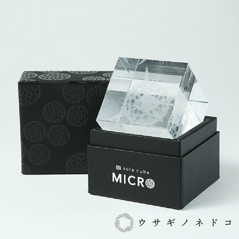 一個透明立方體玻璃製品，內部雷射雕刻有複雜的團藻結構，置於黑色展示盒中，旁邊是一個帶有圓形圖案的黑色包裝盒。