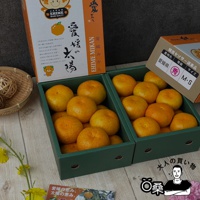 愛媛蜜柑禮盒-3.jpg