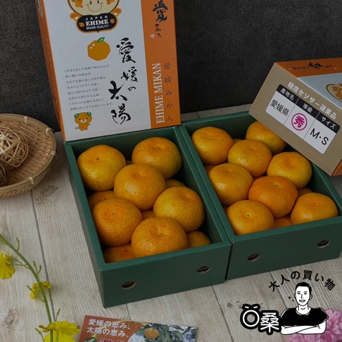 愛媛蜜柑禮盒-3.jpg