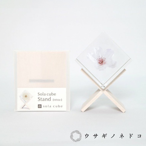 usaginonedoko 京都兔之床 Sola cube 染井吉野櫻立方塊立方塊置物架組 (共2款)