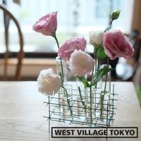 多格一輪玻璃花器，由黑色金屬網格支架支撐著六個獨立的玻璃試管，每個試管中插有粉色和白色陸蓮花。