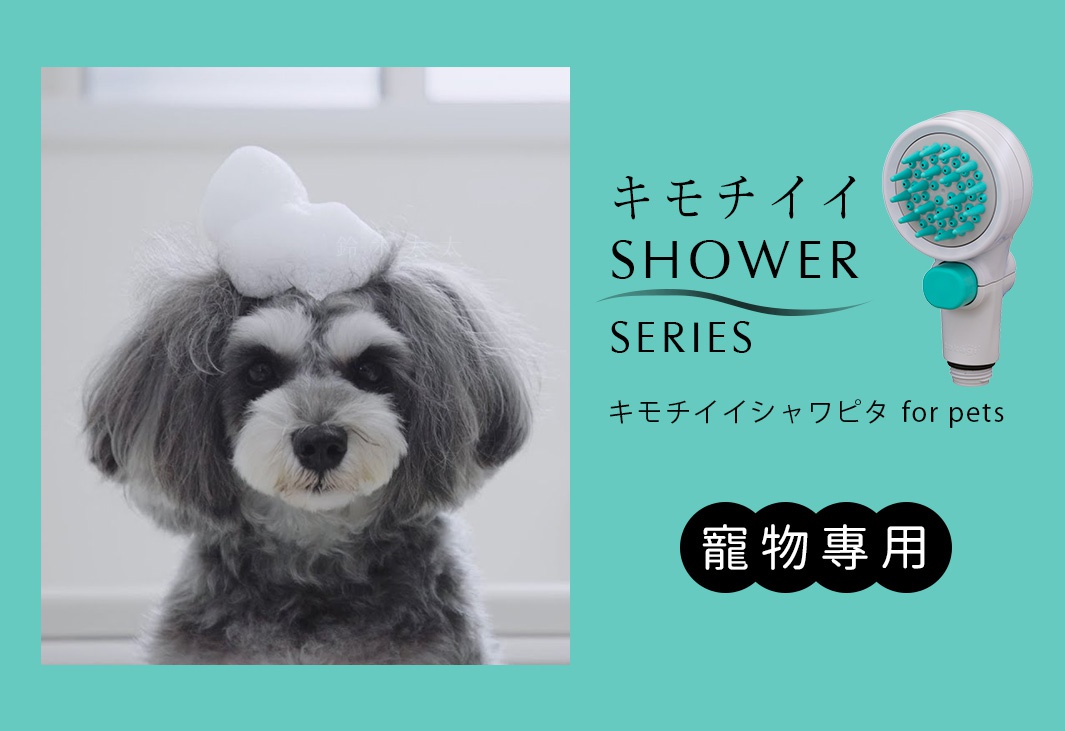 白色與淺綠色搭配的寵物專用蓮蓬頭，設有圓形噴頭，附有淺綠色開關。